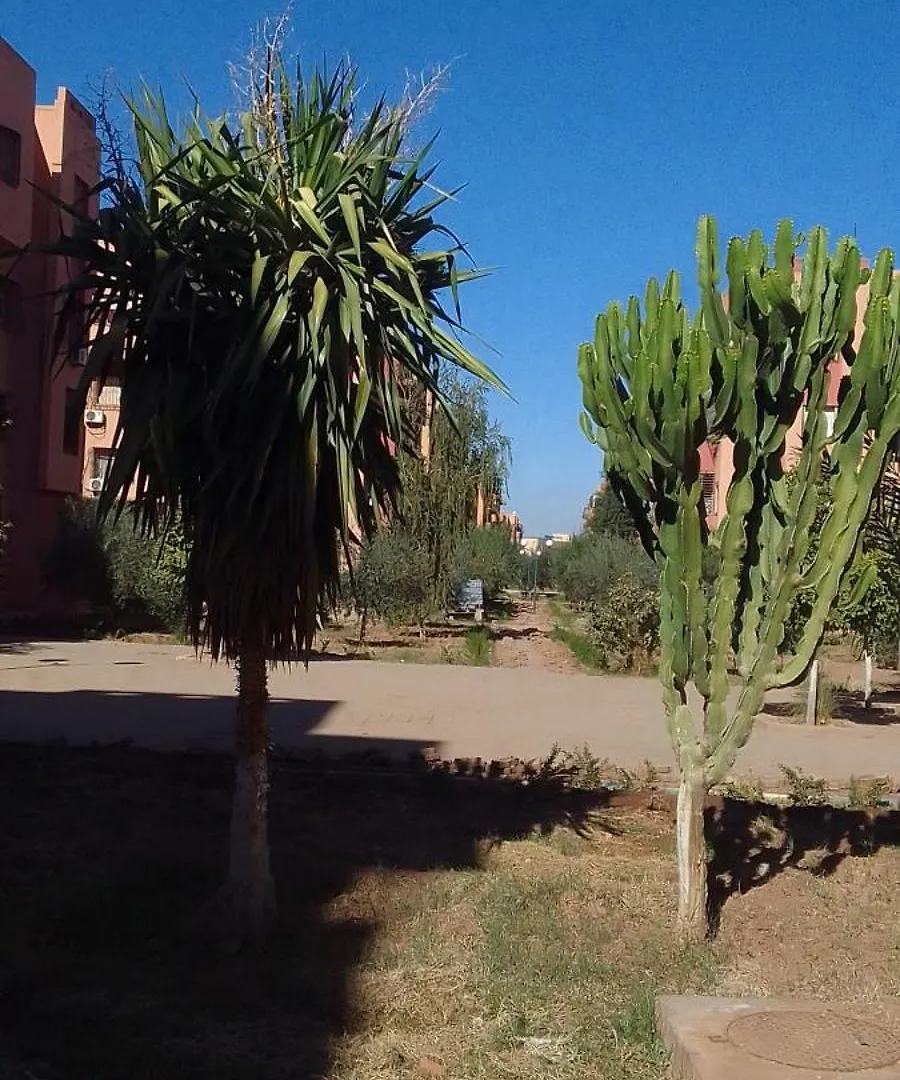 Daire Angel Appartement Marakeş